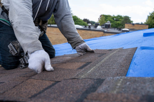 Best Affordable Roofing Company  in Mcalmont, AR