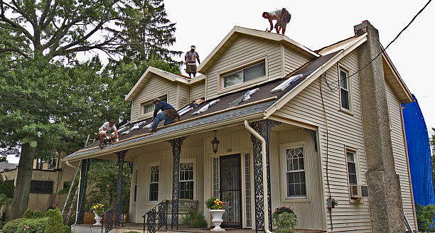 Best Roof Waterproofing Services  in Mcalmont, AR