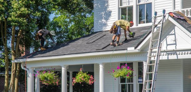 Best Roof Repair Services  in Mcalmont, AR
