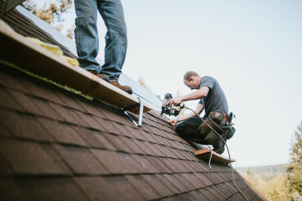 Best Roof Leak Repair  in Mcalmont, AR