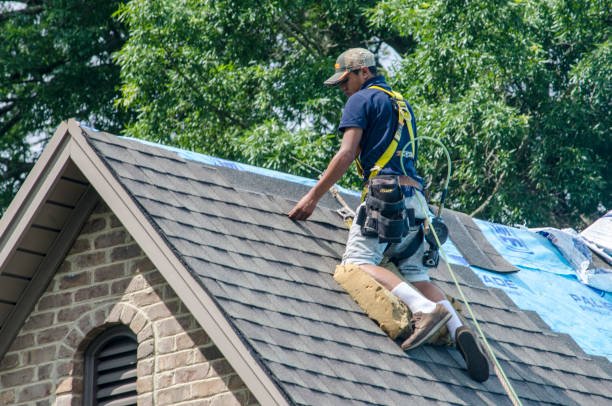 Best Roof Waterproofing Services  in Mcalmont, AR