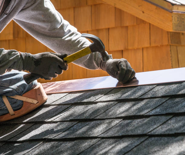 Best Roof Gutter Cleaning  in Mcalmont, AR